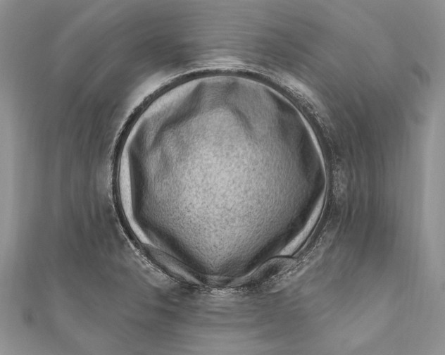 X0000111041326200907161337