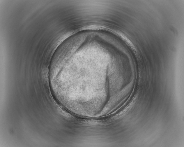 X0000111041329200907161337