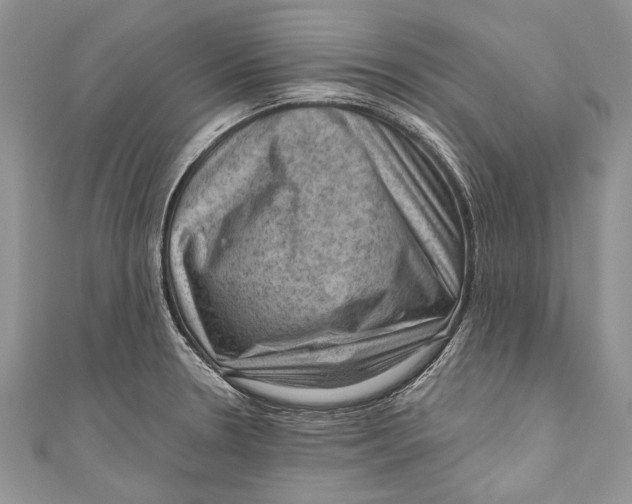 X0000111041330200907161337