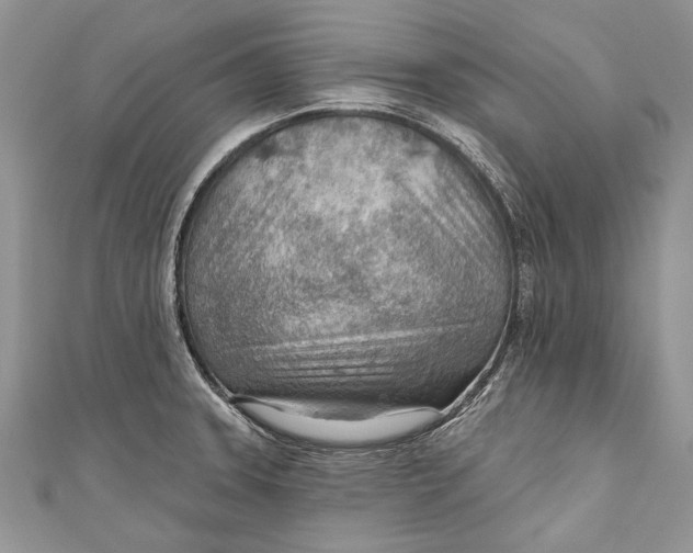 X0000111041331200907161337