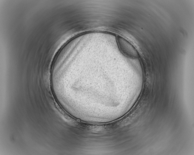 X0000111041332200907161337