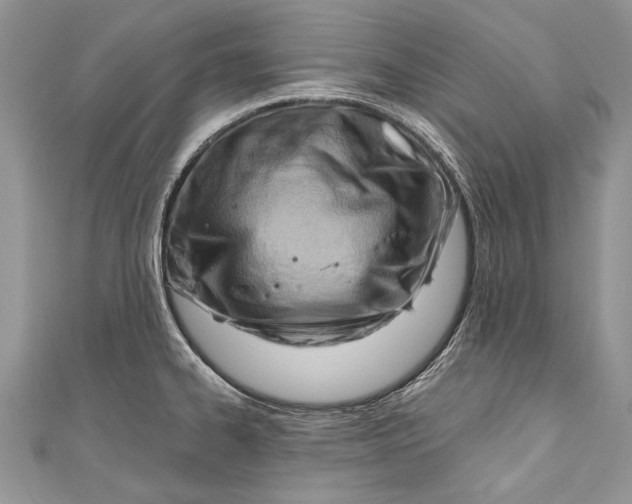 X0000111041334200907161337