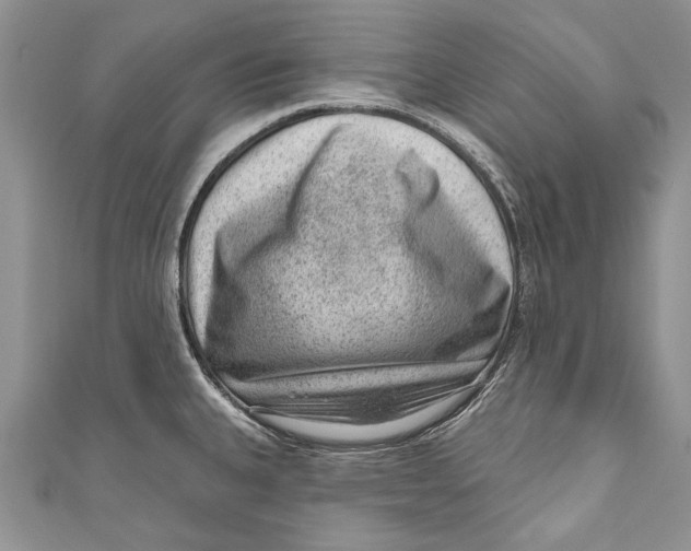 X0000111041335200907161337