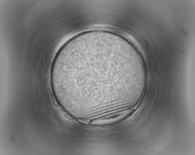 X0000111041336200907161337