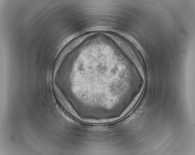 X0000111041337200907161337