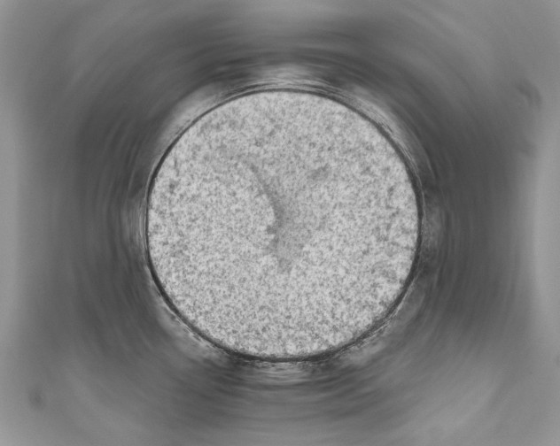 X0000111041338200907161337