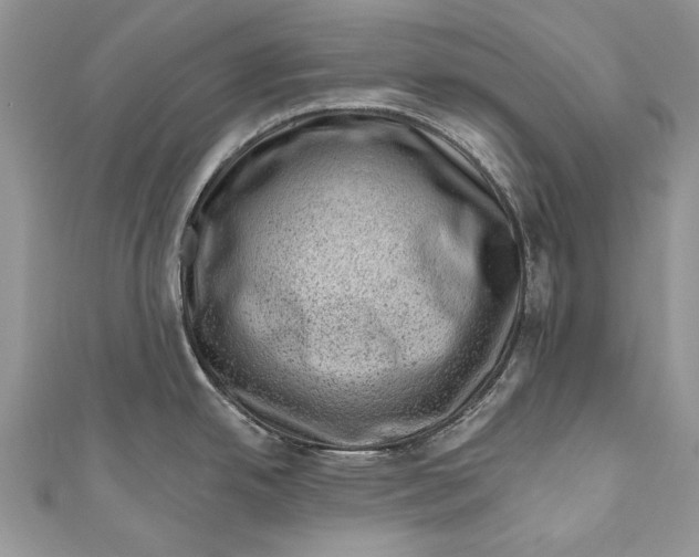 X0000111041342200907161337