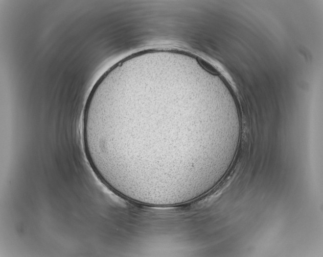 X0000111041343200907161337