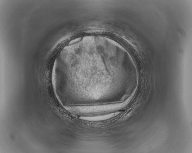 X0000111041351200907161336