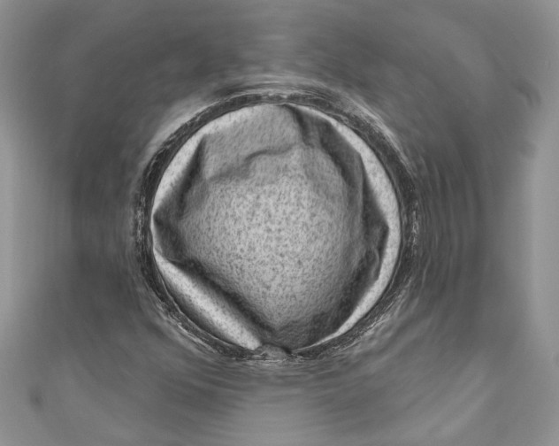 X0000111041352200907161336