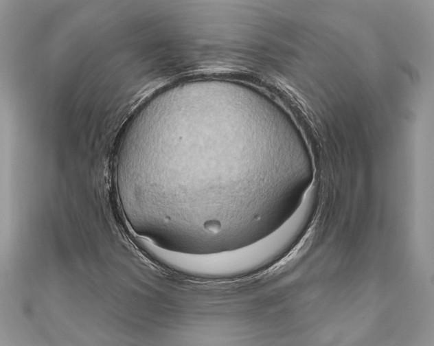 X0000111041353200907161336