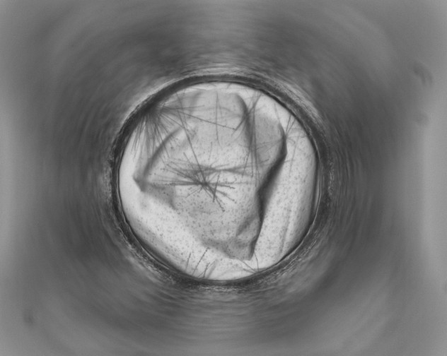 X0000111041356200907161336