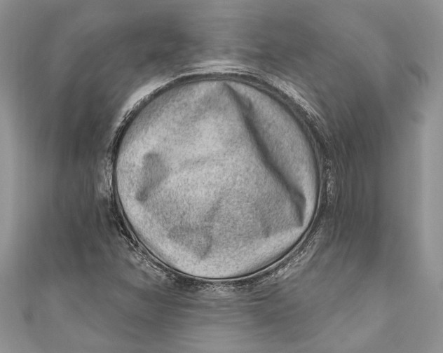 X0000111041358200907161336