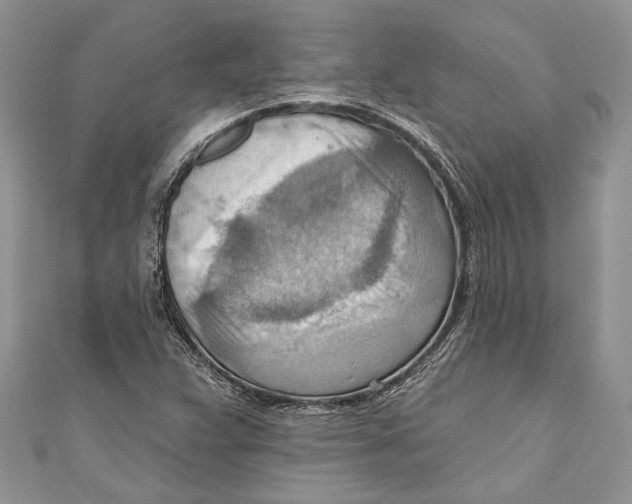 X0000111041359200907161336