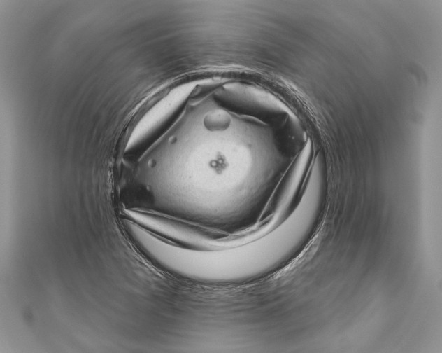 X0000111041361200907161336