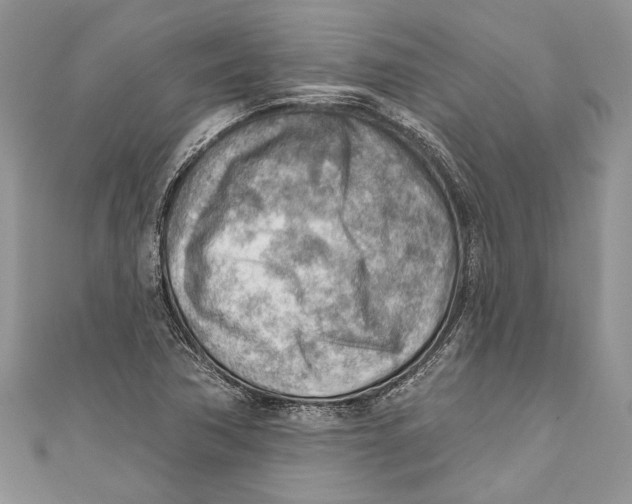 X0000111041362200907161336