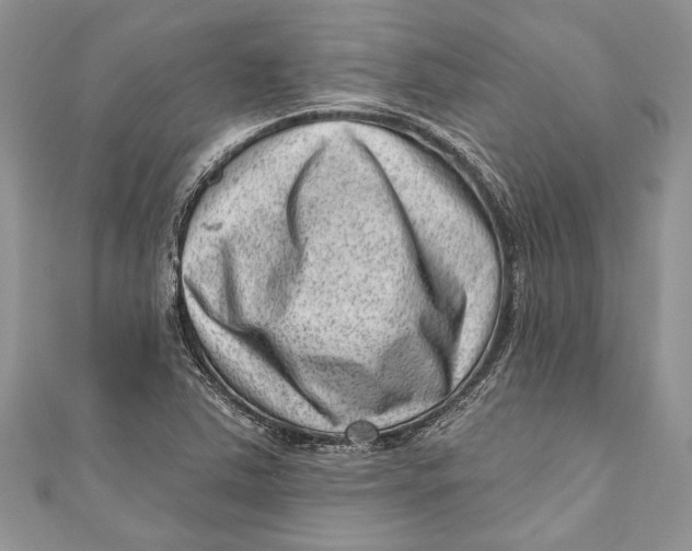 X0000111041363200907161336