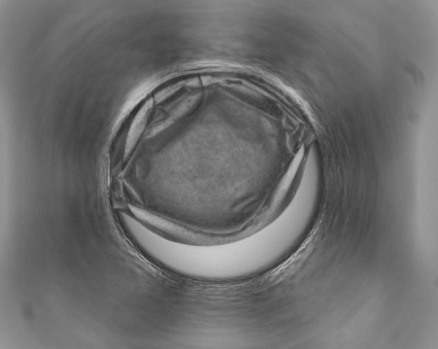 X0000111041365200907161336