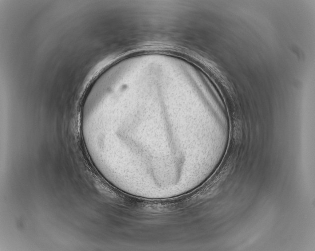 X0000111041366200907161336