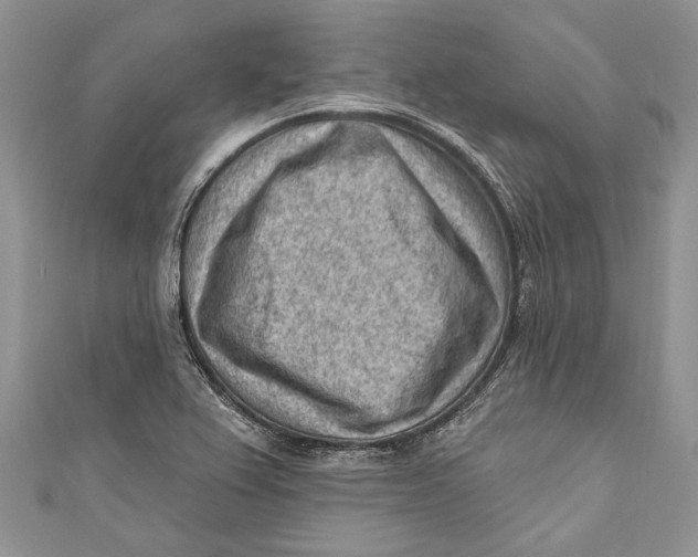 X0000111041367200907161336