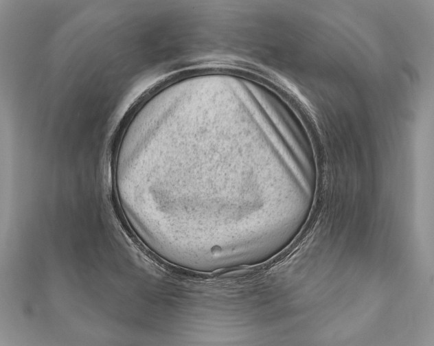 X0000111041368200907161336