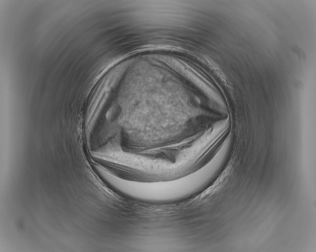 X0000111041369200907161336