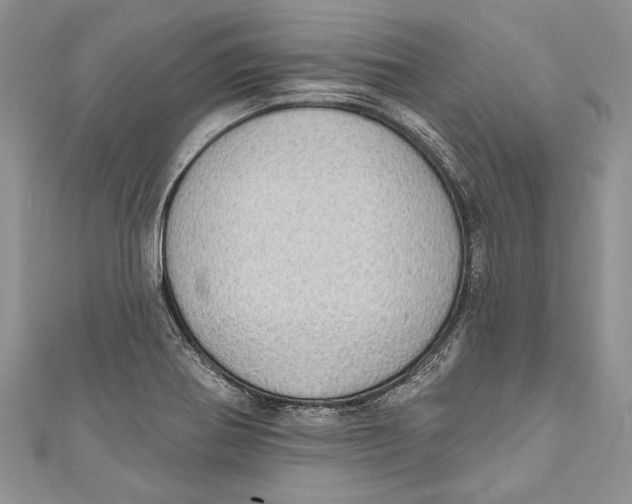 X0000111041370200907161336