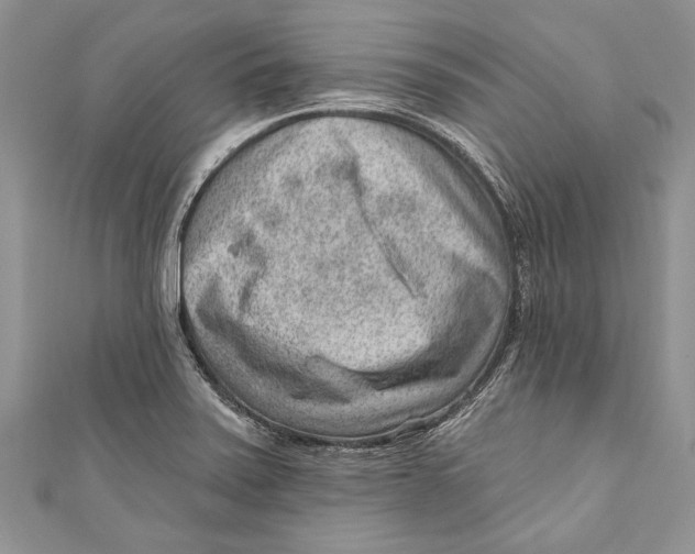 X0000111041371200907161336