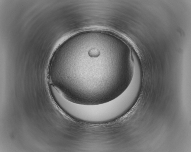 X0000111041373200907161336