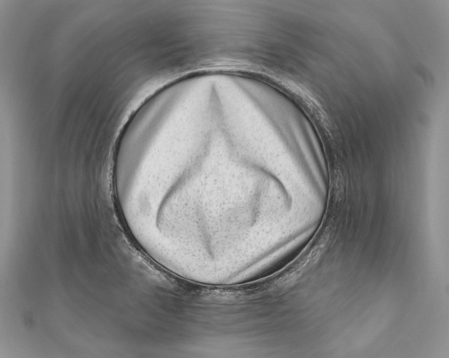 X0000111041374200907161336