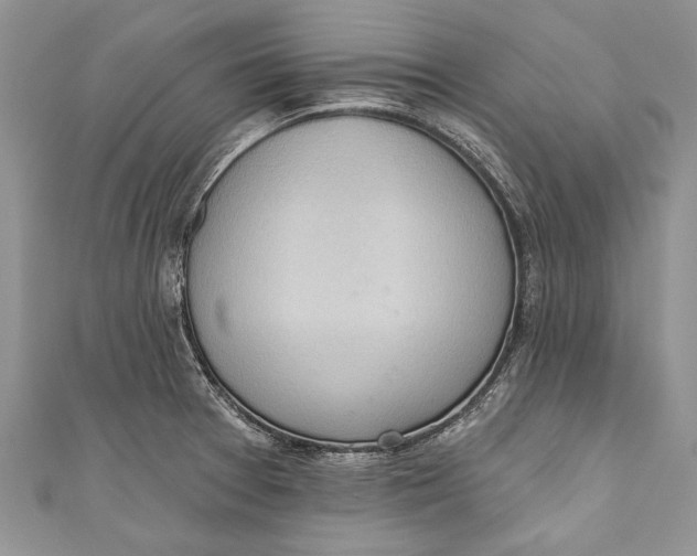 X0000111041377200907161336