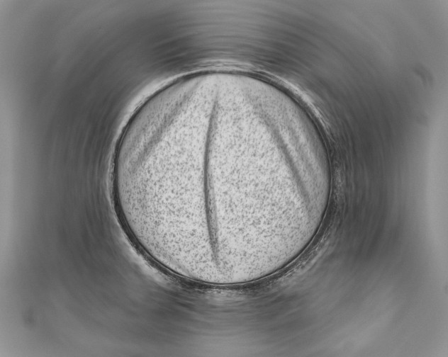 X0000111041379200907161336