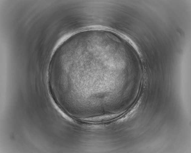 X0000111041381200907161336