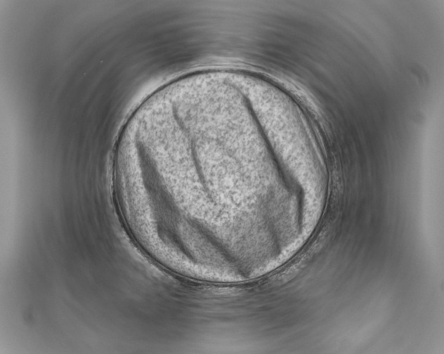 X0000111041382200907161336