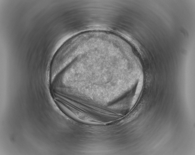 X0000111041383200907161336