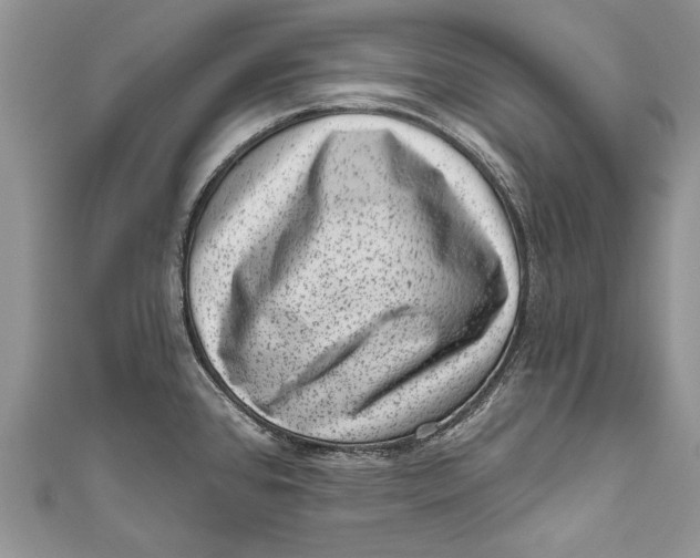 X0000111041384200907161336