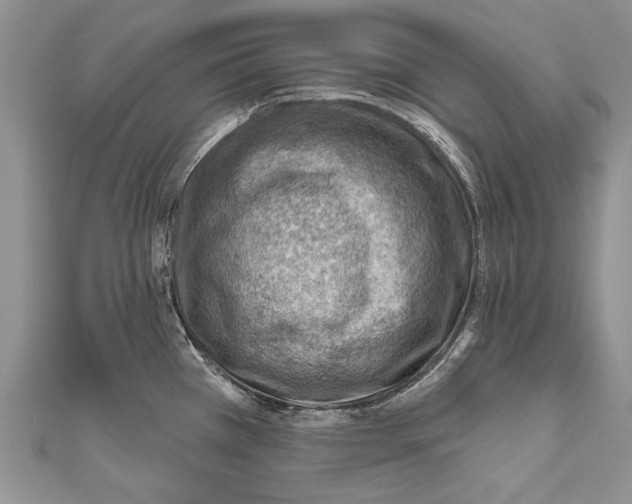 X0000111041385200907161336