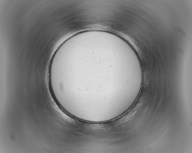 X0000111041387200907161336