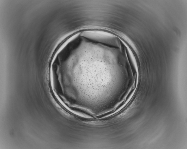 X0000111041388200907161336