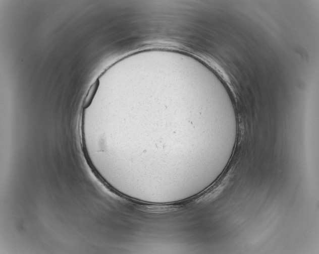 X0000111041391200907161336