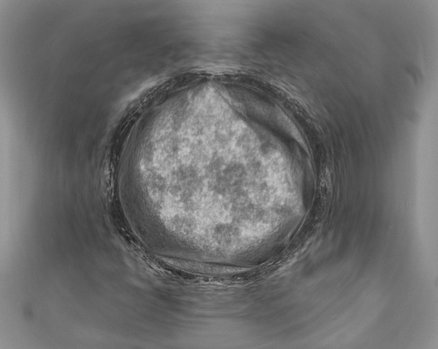 X0000111041398200907161335