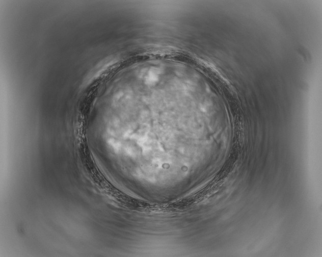 X0000111041399200907161335