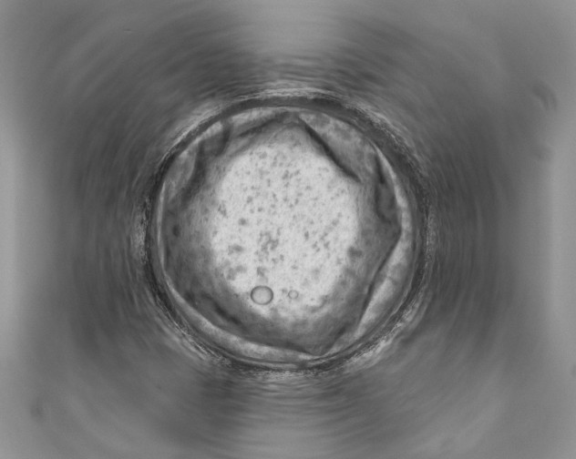 X0000111041401200907161335