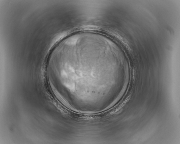 X0000111041405200907161335