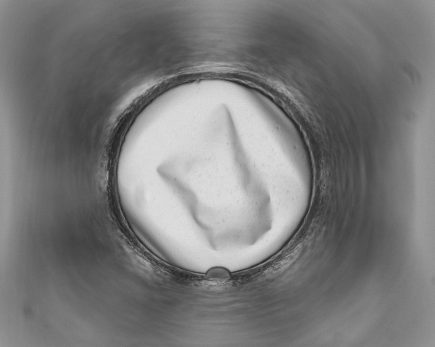 X0000111041406200907161335