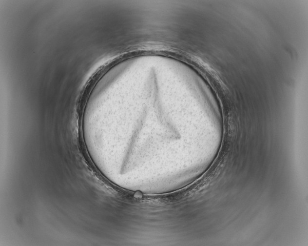 X0000111041408200907161335