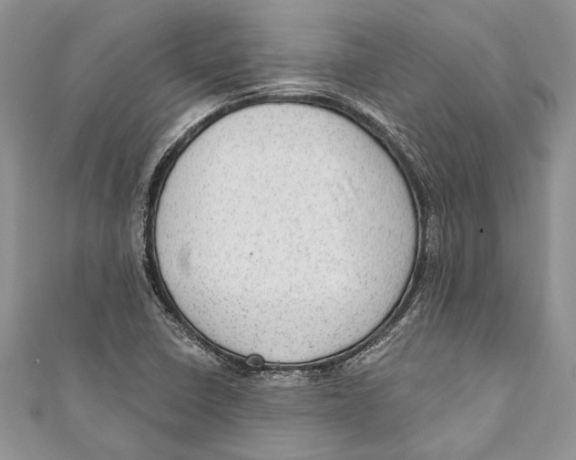 X0000111041410200907161335