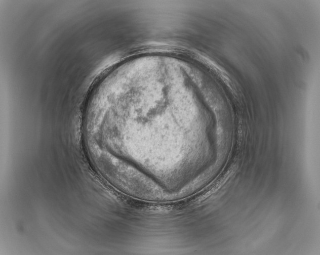 X0000111041411200907161335