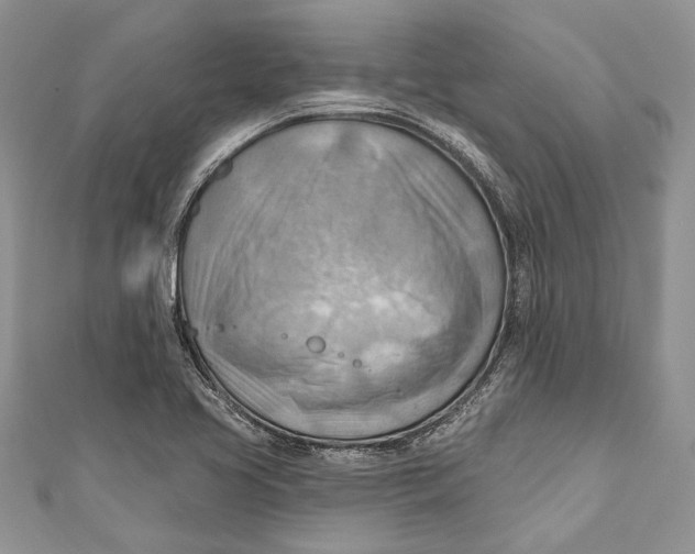 X0000111041413200907161335