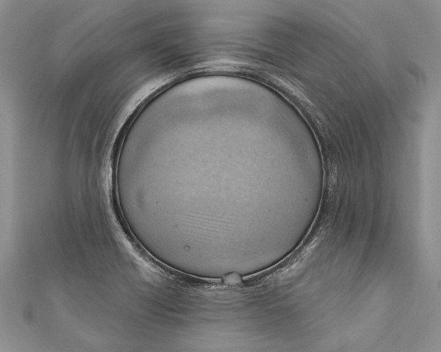 X0000111041418200907161335